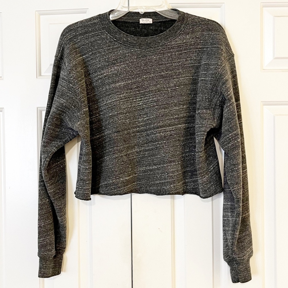 Brandy Melville John Galt gray long sleeve crew neck crop top. Medium